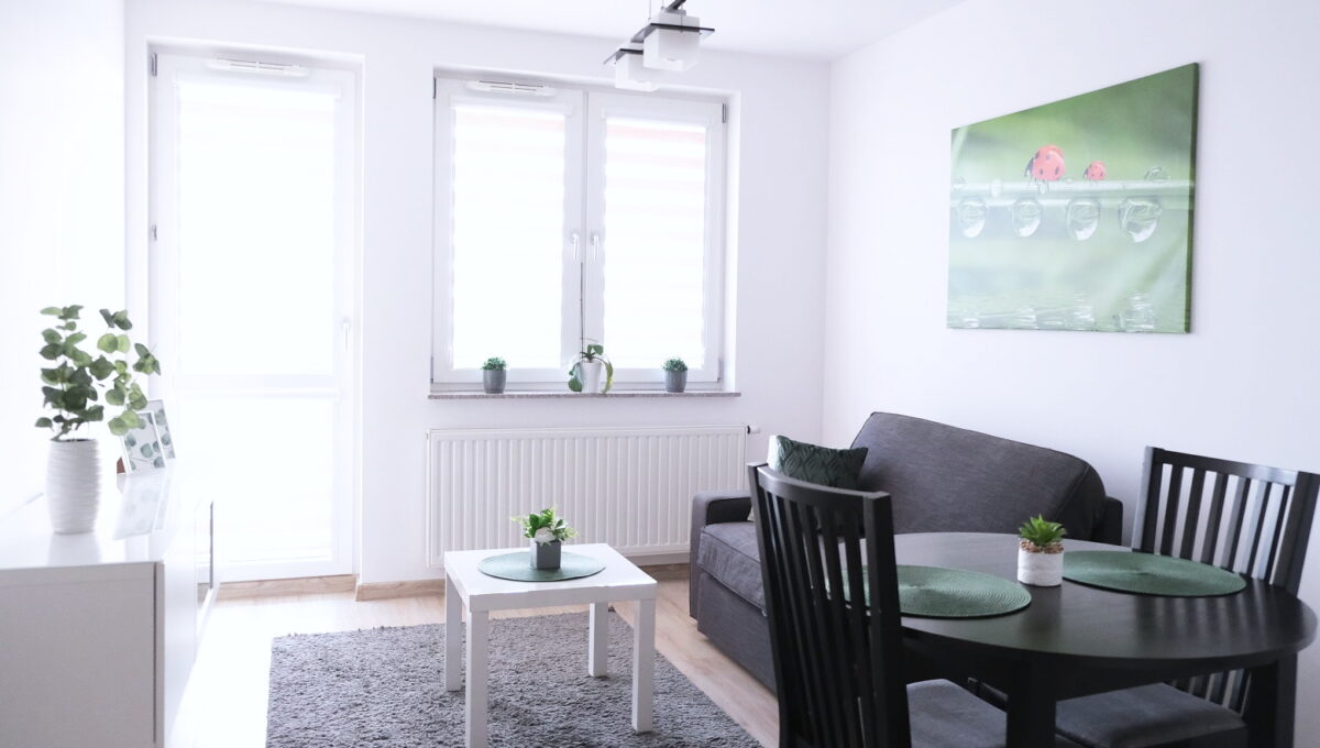 Kopisto_centrum_Rzeszowa_apartament_do_wynajęcia_widok_na_most_5