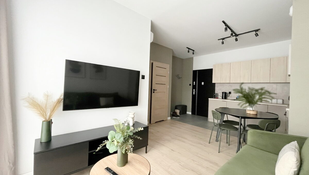 Kopisto_okolice_Rejtana_2_pokoje_do_wynajęcia_nad_rzeką_3